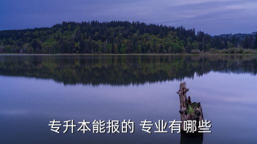  專(zhuān)升本能報(bào)的 專(zhuān)業(yè)有哪些
