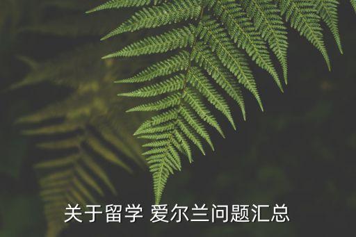 專升本去愛爾蘭,愛爾蘭專升本國內可以認證么