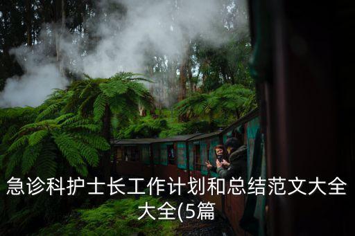 急診科護(hù)士長(zhǎng)工作計(jì)劃和總結(jié)范文大全大全(5篇