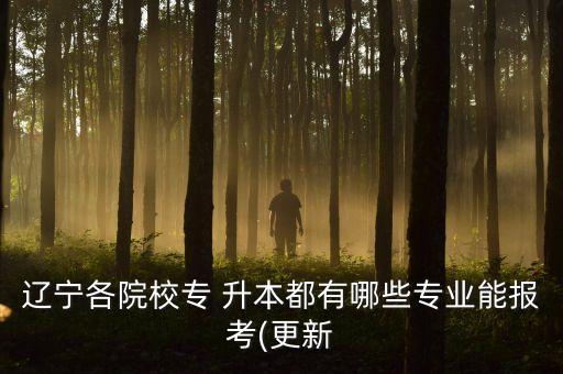 遼寧各院校專 升本都有哪些專業(yè)能報(bào)考(更新
