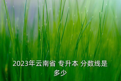 會計專升本考試總分?jǐn)?shù)線,青海大學(xué)會計專升本考試真題