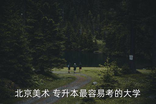 北京美術(shù) 專升本最容易考的大學(xué)