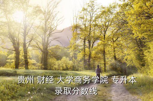 貴州財經(jīng)大學(xué)可以專升本嗎