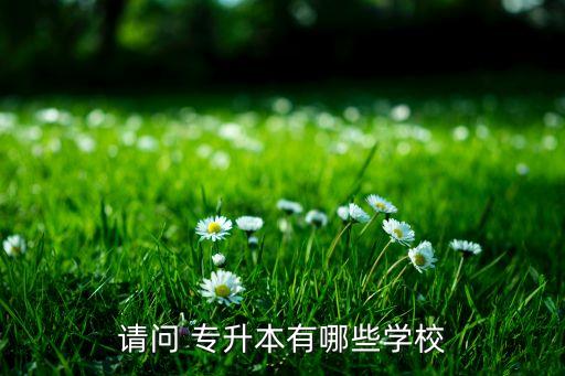 閩南師范大學(xué) 自考專升本