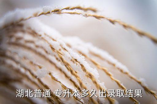  湖北普通 專升本多久出錄取結(jié)果