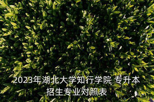 2023年湖北大學(xué)知行學(xué)院 專升本招生專業(yè)對照表