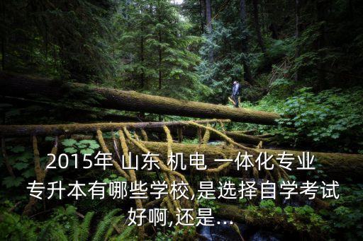 2015年 山東 機電 一體化專業(yè) 專升本有哪些學校,是選擇自學考試好啊,還是...