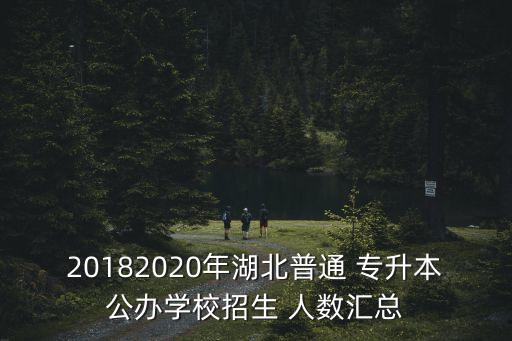 20182020年湖北普通 專升本公辦學(xué)校招生 人數(shù)匯總