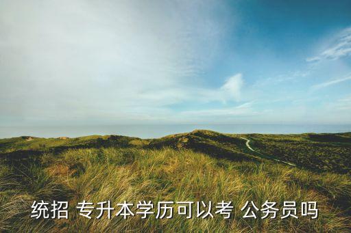 專升本能不能報考國家公務(wù)員,留學(xué)生可以報考國家公務(wù)員嗎