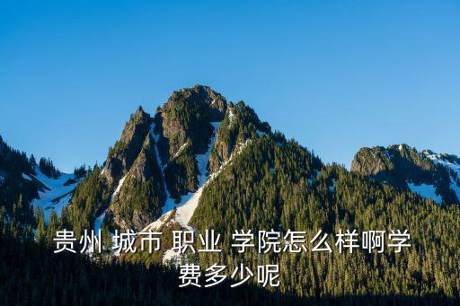 貴州城市職業(yè)學院能專升本嗎