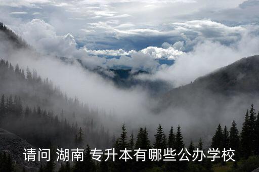 請問 湖南 專升本有哪些公辦學(xué)校