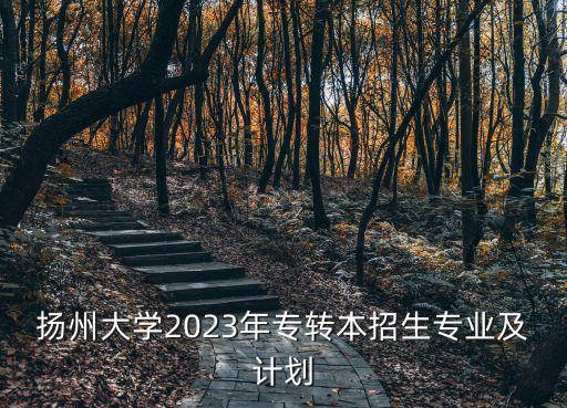 揚州大學2023年專轉本招生專業(yè)及計劃