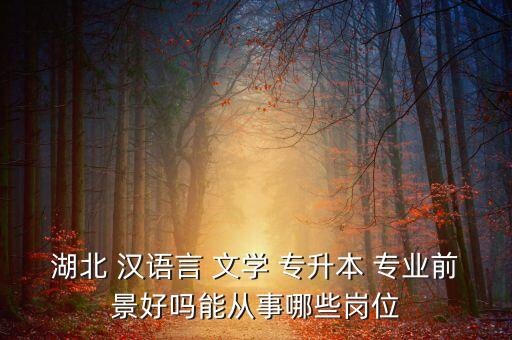 湖北 漢語言 文學 專升本 專業(yè)前景好嗎能從事哪些崗位