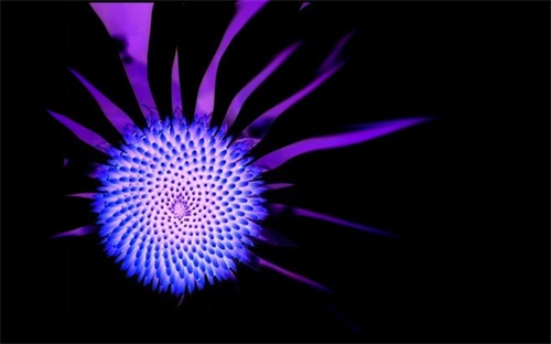 臺(tái)灣專升本有什么好處,普通專升本:刷新學(xué)歷機(jī)會(huì)