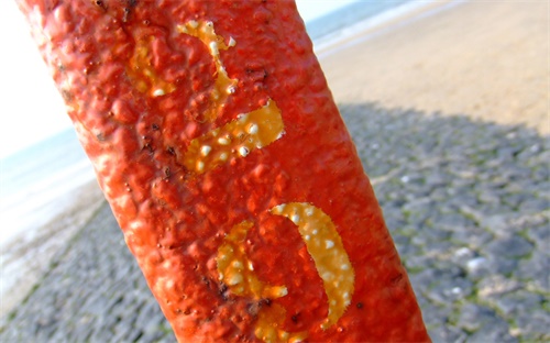 湖北專升本怎么考,統(tǒng)招專升本申請(qǐng)條件:1、網(wǎng)上報(bào)名