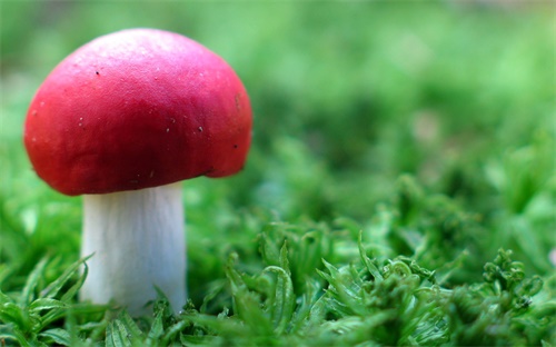 金融 自考 專升本 遼寧,自考專升本大四可報考cfa一級